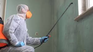 Best Biohazard Mold Removal  in Independence, OR